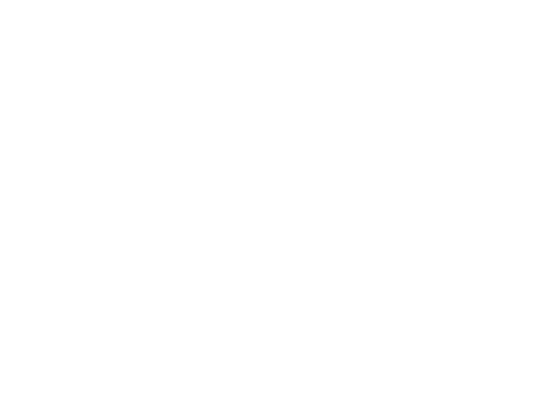 Wercon-Logo-White
